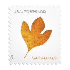 2025 Vibrant Leaves Postcard Stamps Sheet of 20 1set=5Sheets Was $73.00/set - stampworldstore