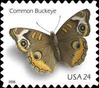 2006 US Common Buckeye Butterfly Stamps - Full Booklet Pane of 10 1set=5Sheets Was $73.00/set - stampworldstore