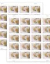 2011 USPS Wedding Roses Commemorative Forever Stamps 1set=5Sheets Was $73.00/set - stampworldstore