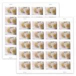2011 USPS Wedding Roses Commemorative Forever Stamps 1set=5Sheets Was $73.00/set - stampworldstore