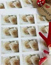 2011 USPS Wedding Roses Commemorative Forever Stamps 1set=5Sheets Was $73.00/set - stampworldstore