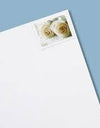 2011 USPS Wedding Roses Commemorative Forever Stamps 1set=5Sheets Was $73.00/set - stampworldstore