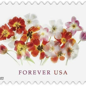 2022 USPS Tulips Forever First Class Postage Stamps 1set=5Sheets Was $73.00/set - stampworldstore