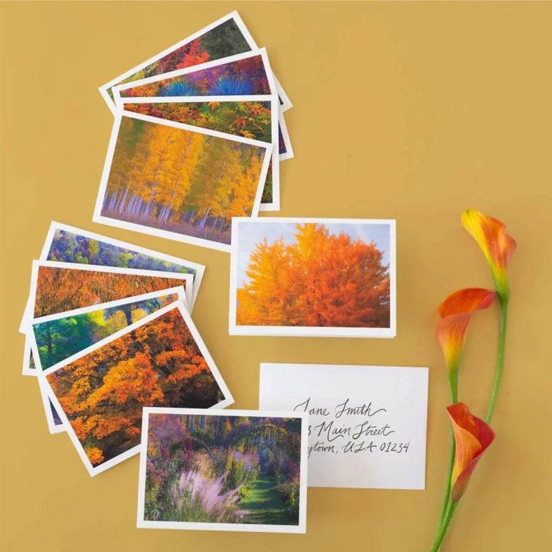 2024 USPS Autumn Colors Forever Stamps (Sheet of 20) 1set=5Sheets Was $73.00/set - stampworldstore