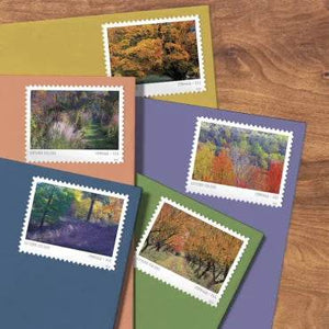 2024 USPS Autumn Colors Forever Stamps (Sheet of 20) 1set=5Sheets Was $73.00/set - stampworldstore