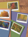 2024 USPS Autumn Colors Forever Stamps (Sheet of 20) 1set=5Sheets Was $73.00/set - stampworldstore