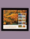 2024 USPS Autumn Colors Forever Stamps (Sheet of 20) 1set=5Sheets Was $73.00/set - stampworldstore