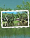 2025 The Appalachian Trail Forever Stamps, Sheet of 15 |Multiple Stamp Designs 1set=5Sheets Was $73.00/set - stampworldstore