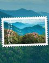 2025 The Appalachian Trail Forever Stamps, Sheet of 15 |Multiple Stamp Designs 1set=5Sheets Was $73.00/set - stampworldstore