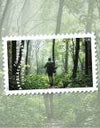 2025 The Appalachian Trail Forever Stamps, Sheet of 15 |Multiple Stamp Designs 1set=5Sheets Was $73.00/set - stampworldstore