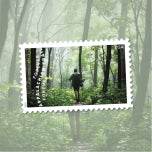 2025 The Appalachian Trail Forever Stamps, Sheet of 15 |Multiple Stamp Designs 1set=5Sheets Was $73.00/set - stampworldstore