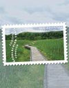 2025 The Appalachian Trail Forever Stamps, Sheet of 15 |Multiple Stamp Designs 1set=5Sheets Was $73.00/set - stampworldstore