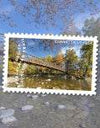 2025 The Appalachian Trail Forever Stamps, Sheet of 15 |Multiple Stamp Designs 1set=5Sheets Was $73.00/set - stampworldstore