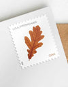2025 Vibrant Leaves Postcard stamps Rolls of 100 Was $73.00/roll - stampworldstore
