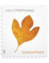 2025 Vibrant Leaves Postcard Stamps Sheet of 20 1set=5Sheets Was $73.00/set - stampworldstore