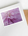 2025 Dahlias Stamps Sheets of 20 1set=5Sheets Was $73.00/set - stampworldstore
