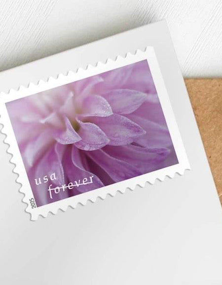 2025 Dahlias Stamps Sheets of 20 1set=5Sheets Was $73.00/set - stampworldstore