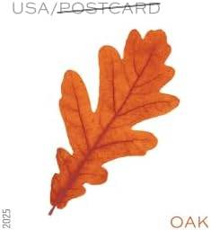 2025 Vibrant Leaves Postcard stamps Rolls of 100 Was $73.00/roll - stampworldstore