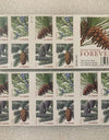 2009 Holiday Evergreens Booklet Pane of 20 First Class Stamps 1set=5Sheets Was $73.00/set - stampworldstore