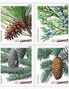 2009 Holiday Evergreens Booklet Pane of 20 First Class Stamps 1set=5Sheets Was $73.00/set - stampworldstore