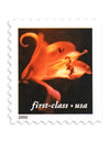 2000 US 34c Self Adhesive Four Flowers First Class Stamps 1set=5Sheets  Was $73.00/set