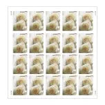2011 USPS Wedding Roses Commemorative Forever Stamps 1set=5Sheets  Was $73.00/set