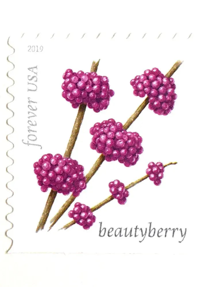 2019 USPS Winter Berries First Class Forever Postage Stamps，Sheet of 16  1set=5Sheets  Was $73.00/set