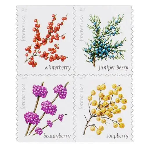 2019 USPS Winter Berries First Class Forever Postage Stamps，Sheet of 16  1set=5Sheets  Was $73.00/set