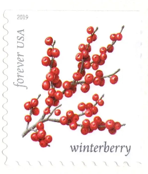 2019 USPS Winter Berries First Class Forever Postage Stamps，Sheet of 16  1set=5Sheets  Was $73.00/set