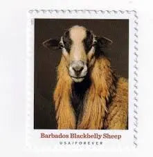 2021 US New Heritage Breeds Forever Postage Stamps 1set=5Sheets  Was $73.00/set