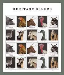 2021 US New Heritage Breeds Forever Postage Stamps 1set=5Sheets  Was $73.00/set