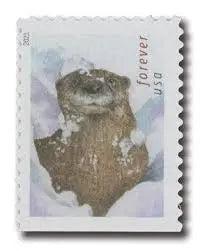 2021 USPS Otters in Snow Forever Postage Stamps 1set=5Sheets  Was $73.00/set