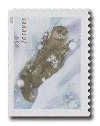 2021 USPS Otters in Snow Forever Postage Stamps 1set=5Sheets  Was $73.00/set