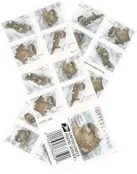 2021 USPS Otters in Snow Forever Postage Stamps 1set=5Sheets  Was $73.00/set