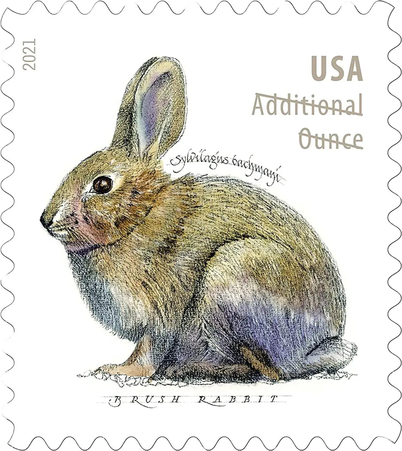 2021 Brush Rabbit Additional Ounce Forever Postage Stamps 1set=5Sheets  Was $73.00/set