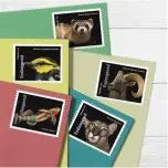 2023 US Endangered Species First Class Postage Forever Stamps 1set=5Sheets  Was $73.00/set