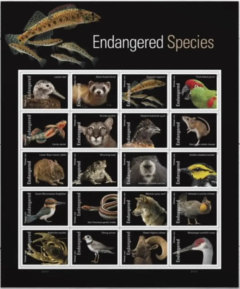 2023 US Endangered Species First Class Postage Forever Stamps 1set=5Sheets  Was $73.00/set