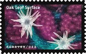 2023 Life Magnified Forever Postage Stamps Explores Life on Earth 1set=5Sheets  Was $73.00/set