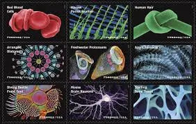 2023 Life Magnified Forever Postage Stamps Explores Life on Earth 1set=5Sheets  Was $73.00/set