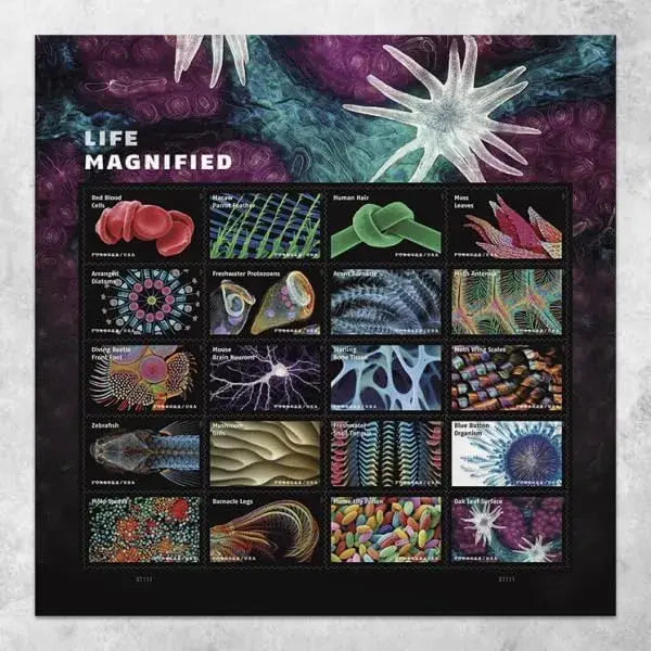 2023 Life Magnified Forever Postage Stamps Explores Life on Earth 1set=5Sheets  Was $73.00/set