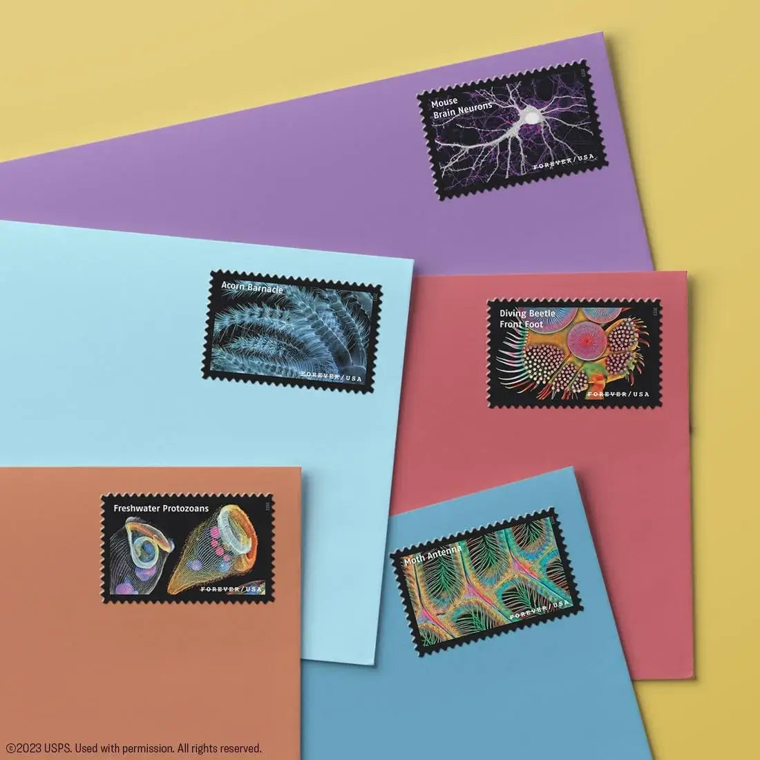 2023 Life Magnified Forever Postage Stamps Explores Life on Earth 1set=5Sheets  Was $73.00/set