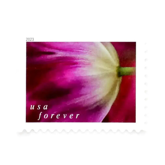 2023 US Tulip Blossoms First-Class Forever Stamps 1set=5Sheets  Was $73.00/set