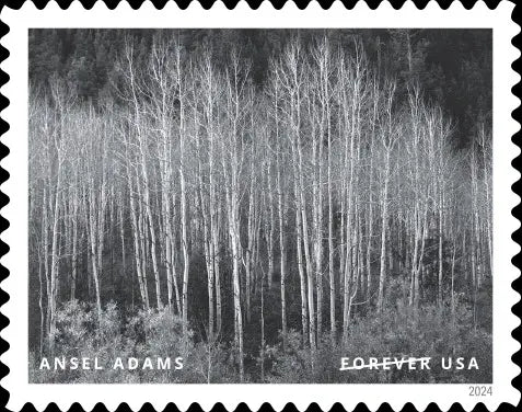 2024 us forever stamps-Ansel Adams 1set=5Sheets  Was $73.00/set