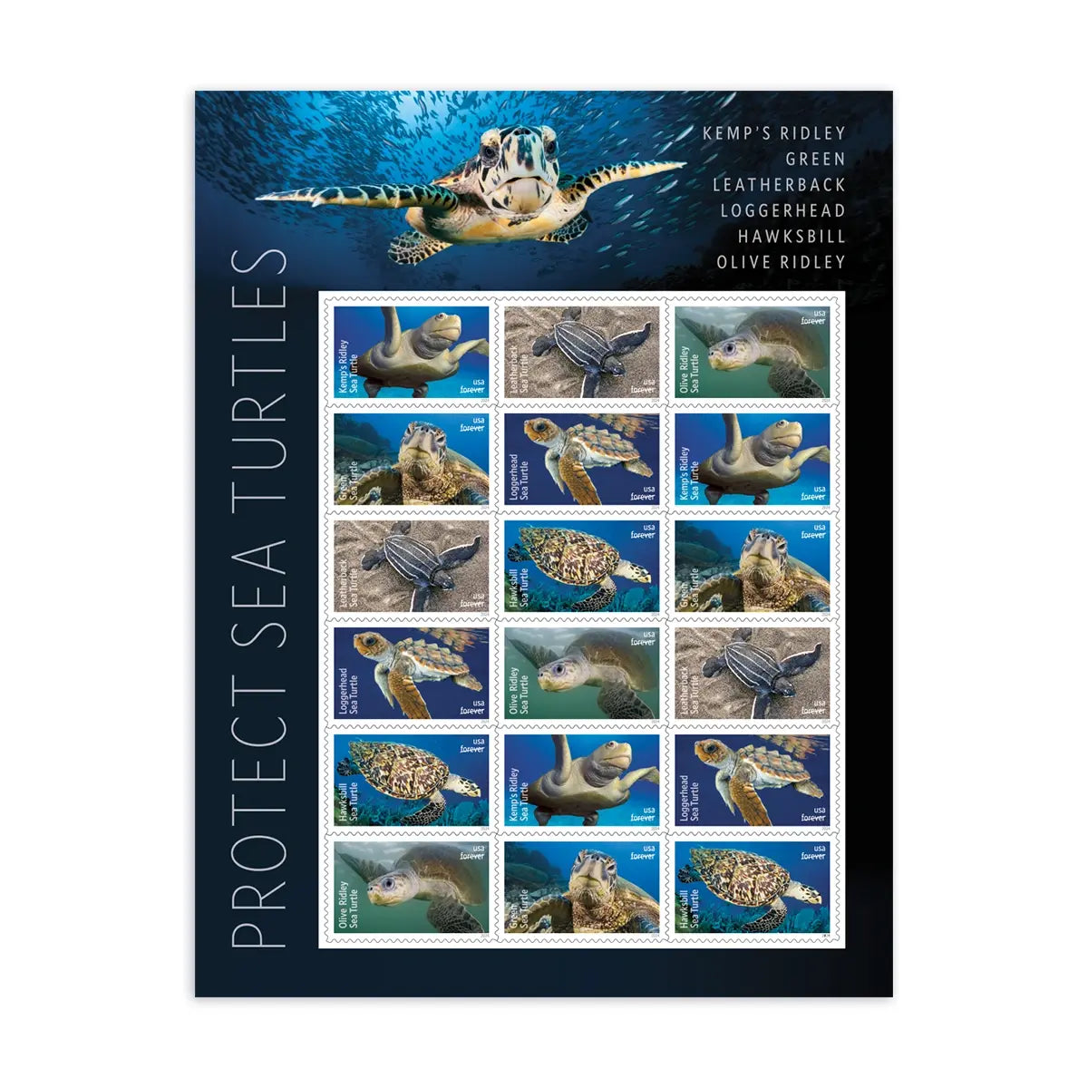 2024 Protect Sea Turtles Stamps 1set=5Sheets  Was $73.00/set