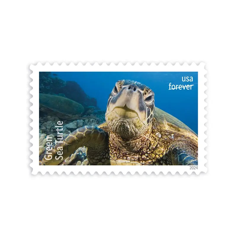 2024 Protect Sea Turtles Stamps 1set=5Sheets  Was $73.00/set