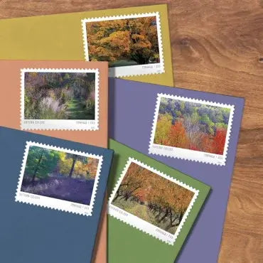 2024 USPS Autumn Colors Forever Stamps (Sheet of 20) 1set=5Sheets  Was $73.00/set