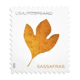 2025 Vibrant Leaves Postcard Stamps Sheet of 20 1set=5Sheets  Was $73.00/set