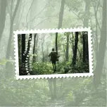 2025 The Appalachian Trail Forever Stamps, Sheet of 15 |Multiple Stamp Designs 1set=5Sheets  Was $73.00/set